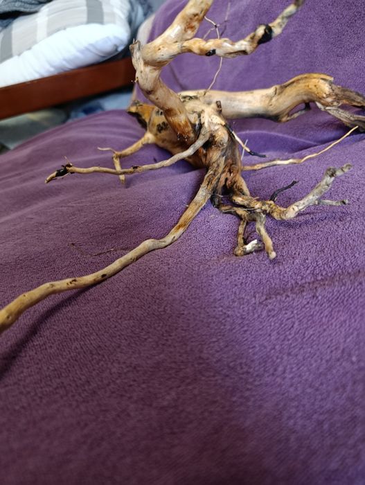 Коряга для акваріума