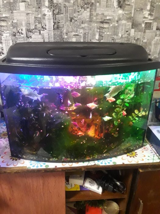 Аквариув со всем полностью