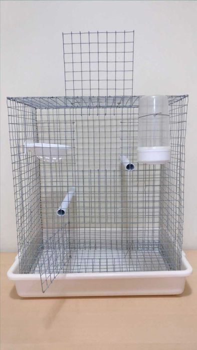 Acessórios e gaiola para aves