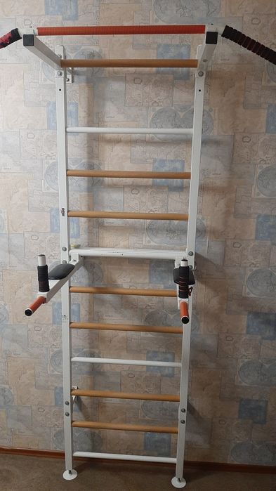 Шведська стінка (турник, бруса, лавка, кільця, канат)