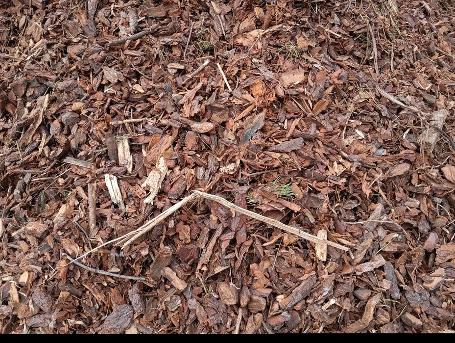 Casca de Pinheiro Não crivada, 63€ IVA inc
Para ornamentar espaços ver