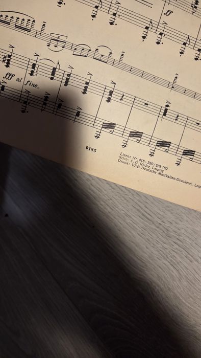 Max Reger Violin koncert op.101 nuty