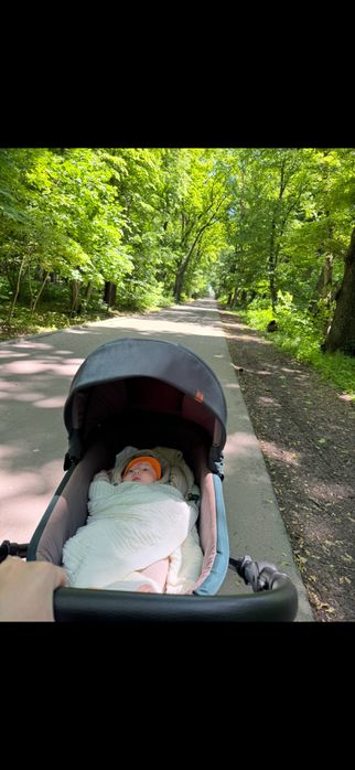 Коляска 2 в 1 Baby Mers Peuma