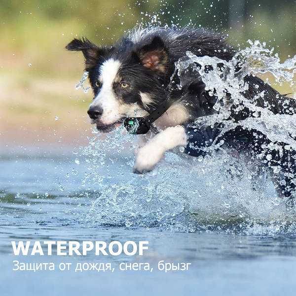 Электроошейник для дрессировки собак DTC-800 (RT-880). Електронашийник