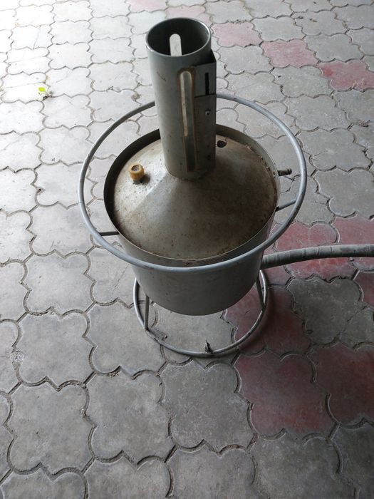 Мірник еталонний