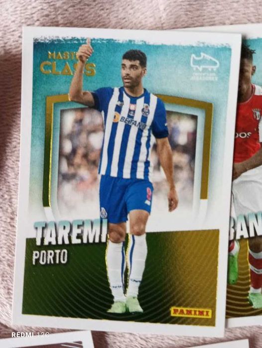 Liga SABSEG Panini  22#23