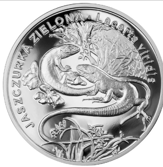 20 zł - morświn, jaszczurka, foka,podkowiec,puchacz.