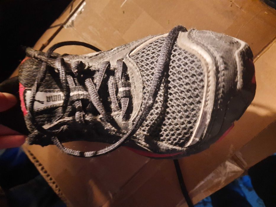 Buty Puma 38 sportowe