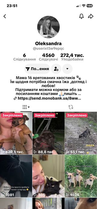 Цуценята в добрі руки