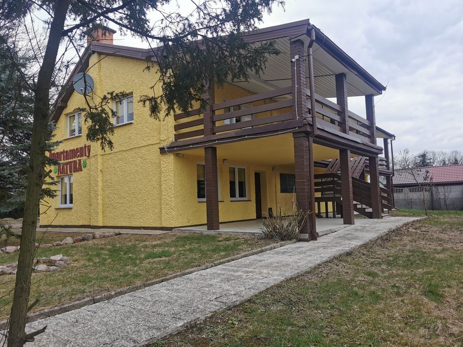 Zdjęcie 2