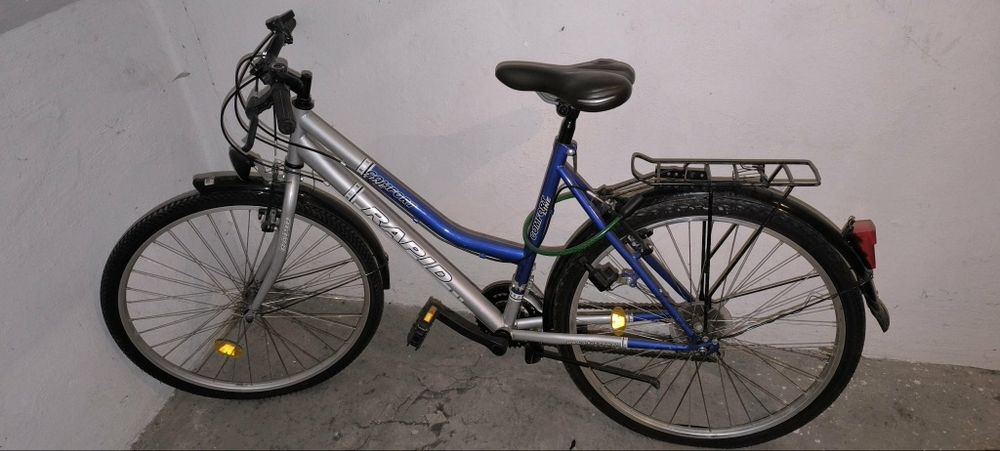 Rower Rapid srebro/niebieski