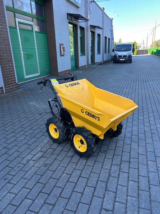 Wynajem Taczka spalinowa Cedrus