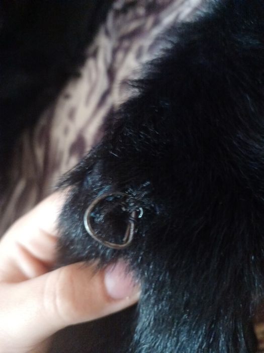 Шуба з натуральної шерсті.