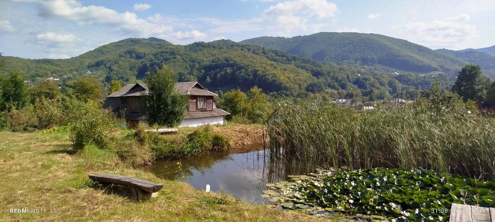 Будинок з ставком у Карпатах