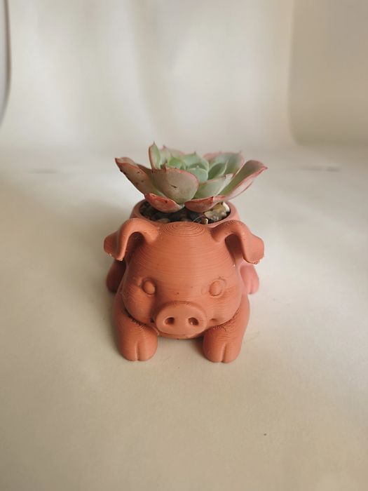 Vaso Decorativo porco com suculenta