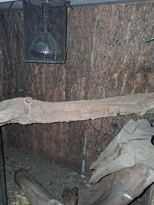 Terrarium dla zwierząt