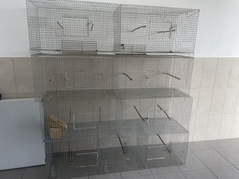 Gaiolas para criacao de passaros