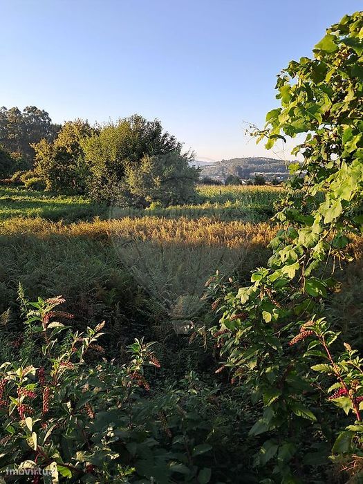 Terreno  para venda