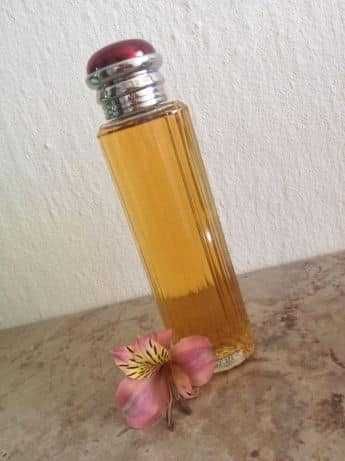 Perfume Vintage Burberrys - Society 100ml