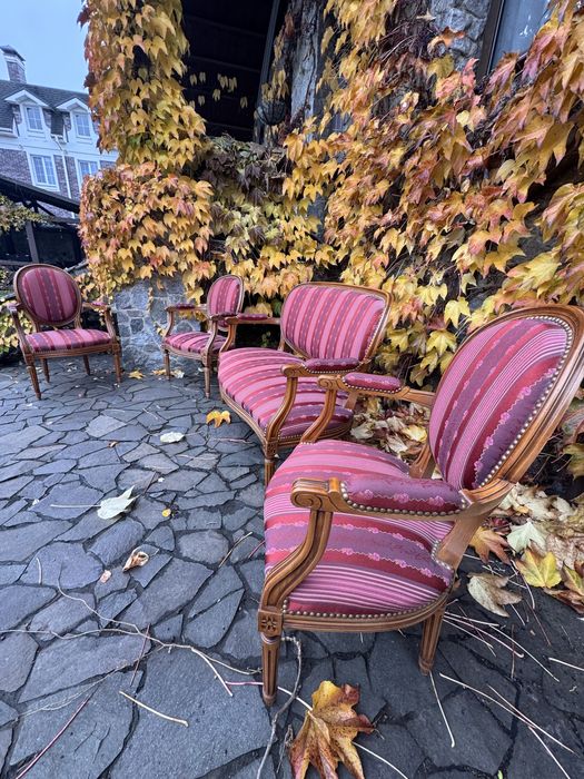 Антикварний набір меблів в стилі Людовика