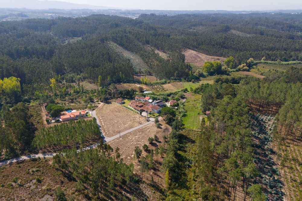 Terreno construção de moradias em local agradável