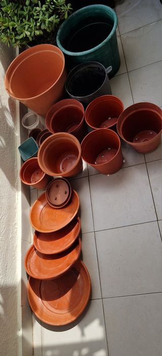 Vasos conjunto 15-40cm só 9eur