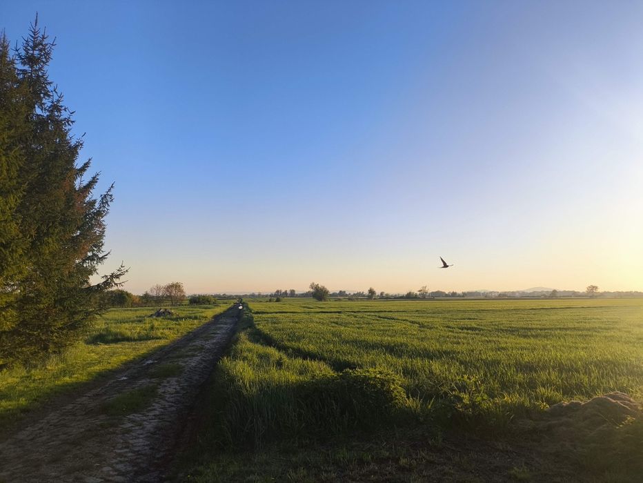 Działka z planem zagospodarowania zagrodowa