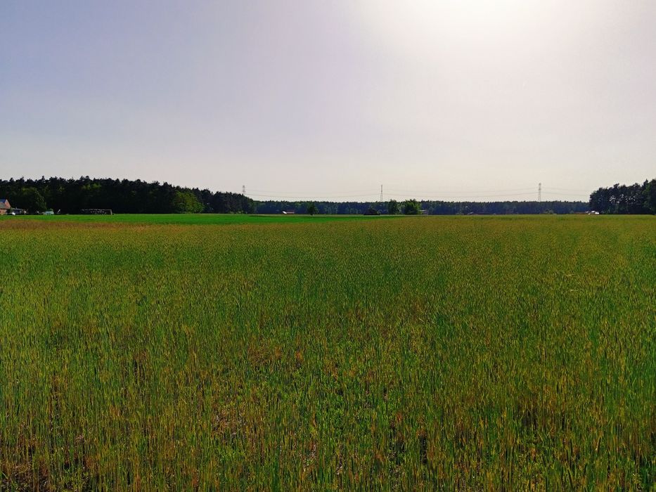 Sprzedam działkę