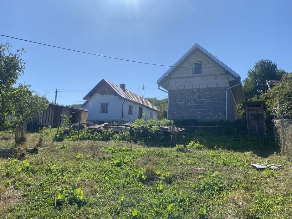 Будинок з присадибною ділянкою