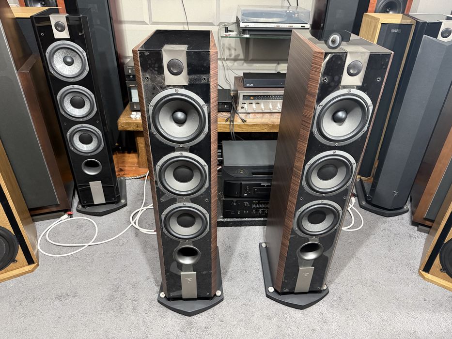 Focal chorus 826v noyer