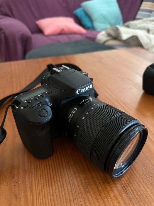 Canon 90D + Canon EFS 18-135mm f 3.5-5.6 IS USM