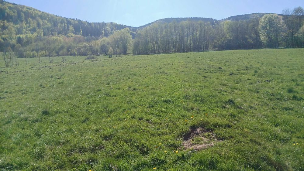 Dzialka w Szczawinie - Widok 4