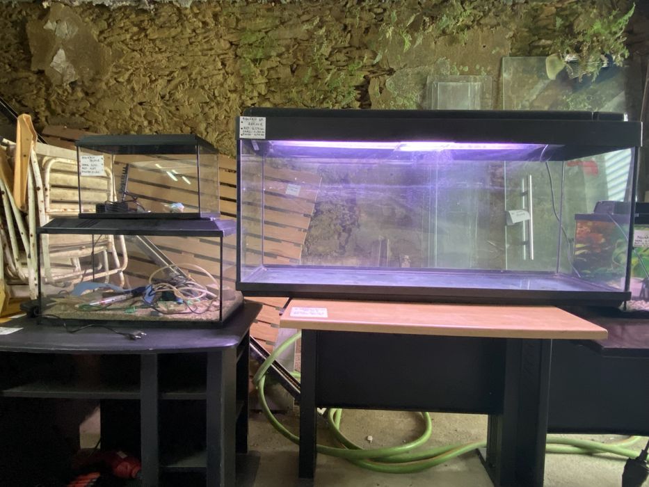 Aquário Grande com Iluminação LED – 1,20m