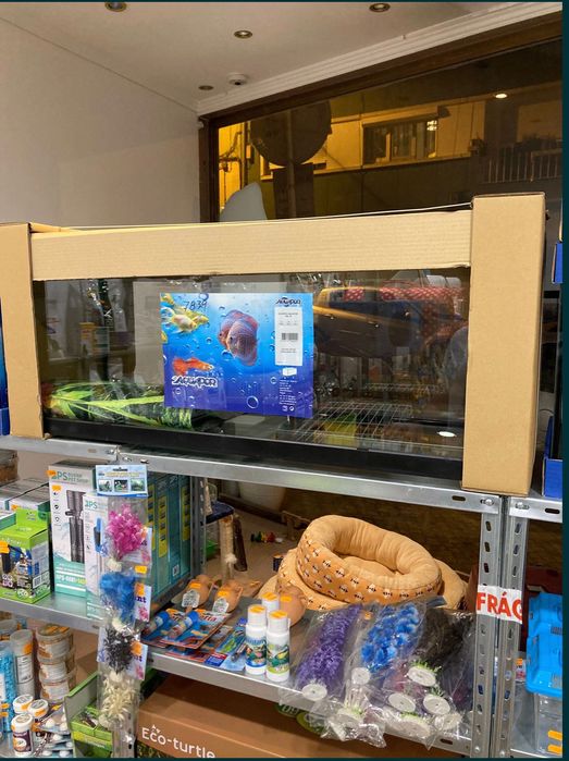 Aquário 1 Metro ( Loja especializada )