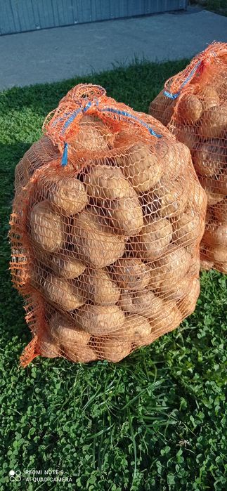 Ziemniaki bryza 25 kg