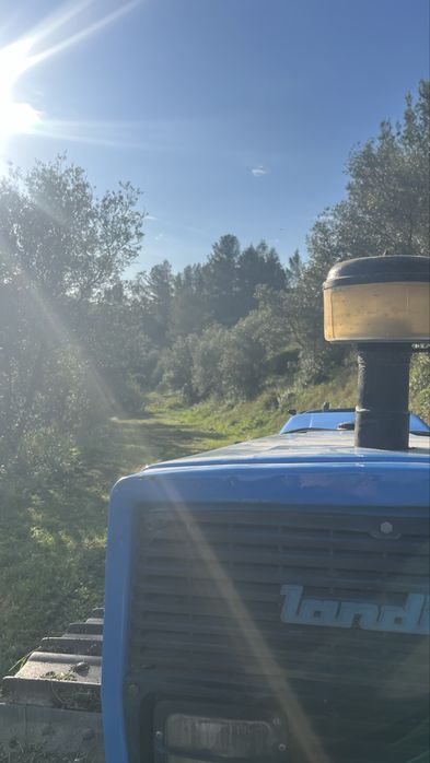 Limpeza de terreno