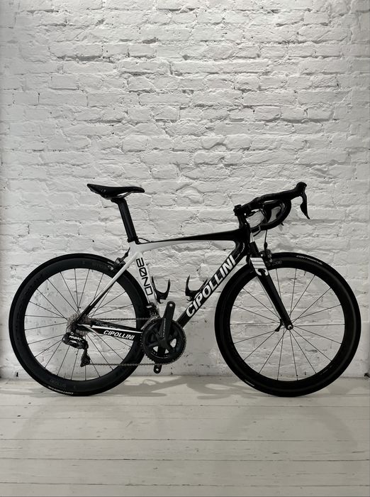 Cipollini Bond - oddam w dobre rece