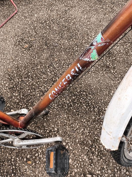 Bicicleta confersil para restauro