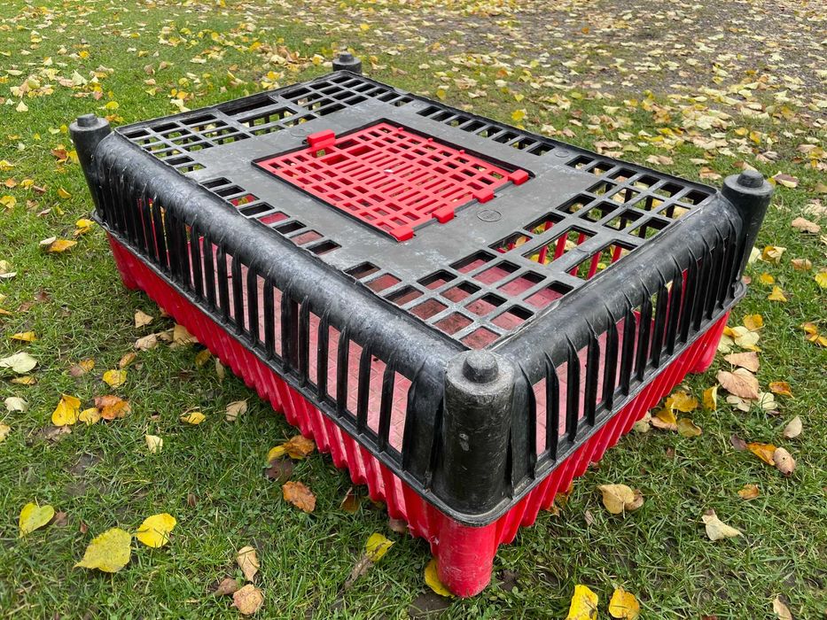 klatka klatki skrzynka do transportu drobiu , ptaków