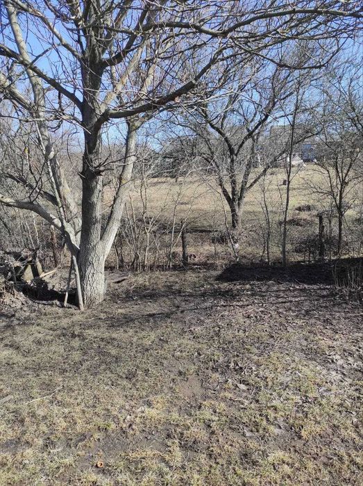 Продам дачу Нова Павлівка
