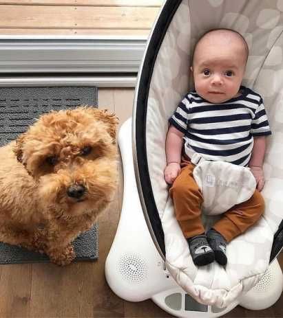 Укачивающий центр 4moms MamaRoo модели 4.0, 3.0