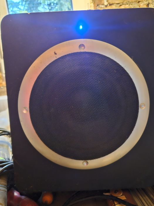 Głośnik subwoofer tracer