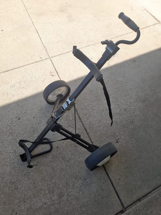 Carrinho Golf king duas rodas