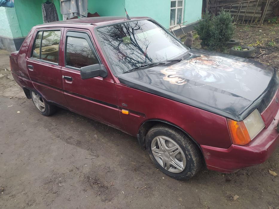 куколка Славута на газу