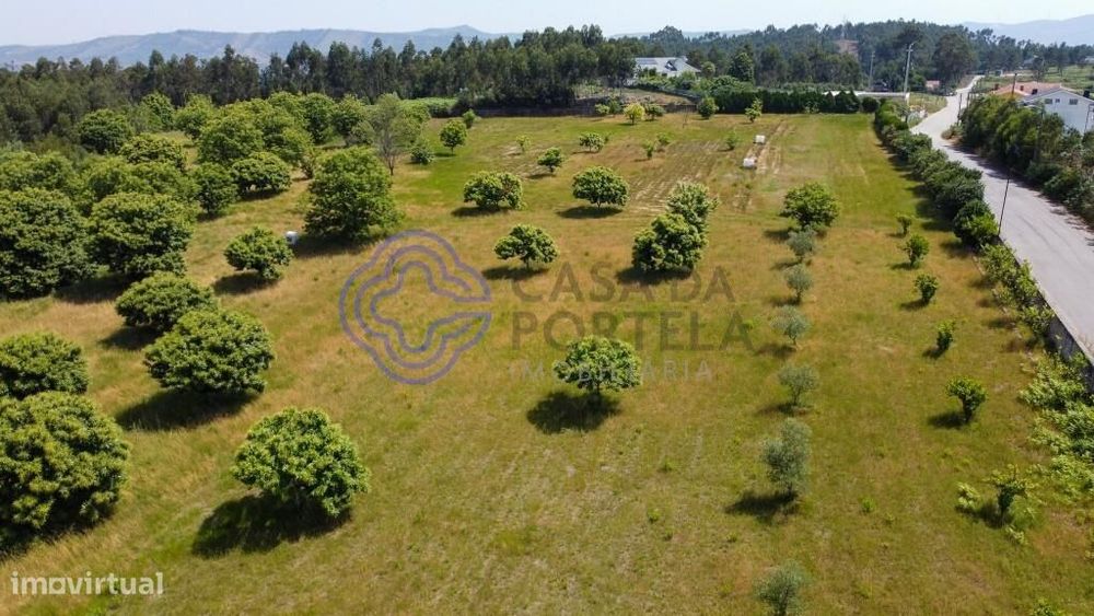 Quinta Rural com Potencial em Canedo, Santa Maria da Feira