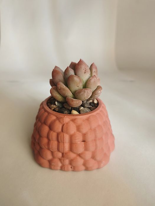 Vaso Decorativo Ovelha com suculenta