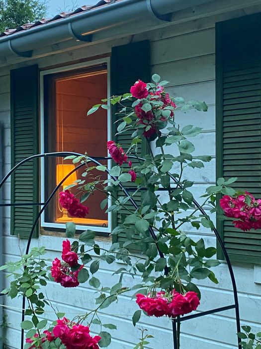 Domek letniskowy Leśniczówka