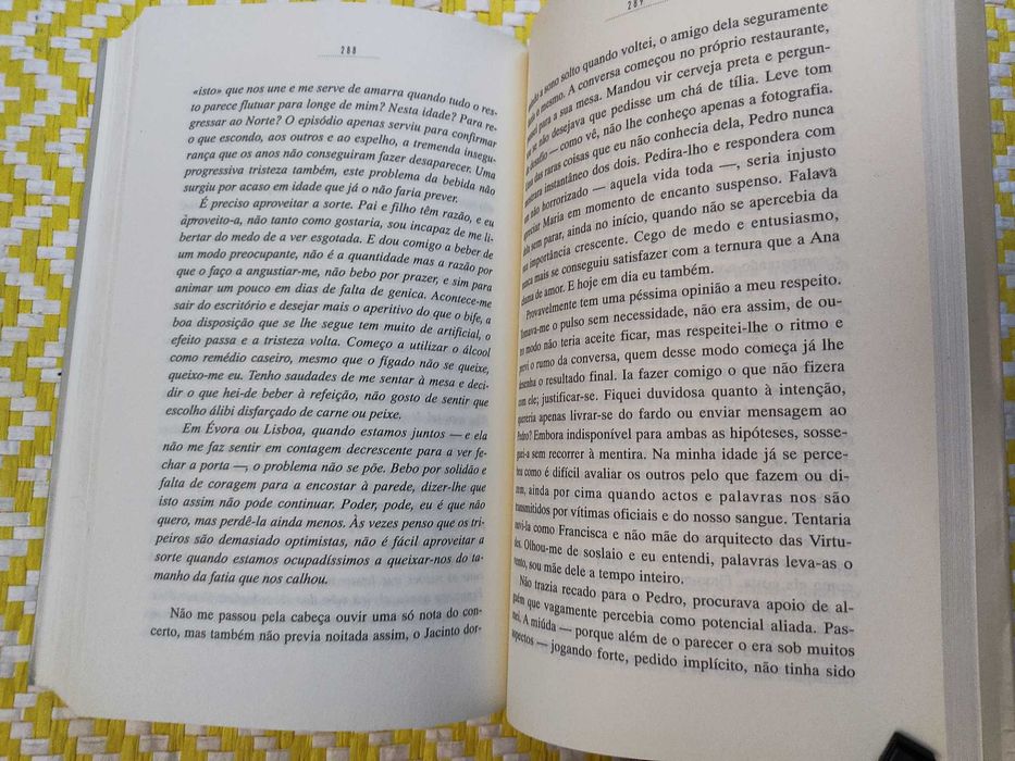 MUROS
de Júlio Machado Vaz