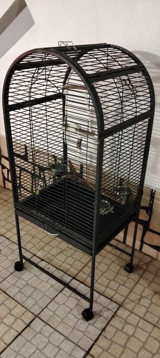 Vendo gaiola XXL para papagaios
