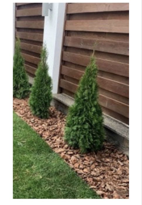 Кора для ланшафтного дизайне для озеленення